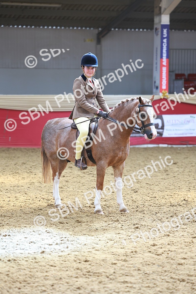 SBM_12639 - Class 103 - HOYS Veteran Qualifier - Ridden Pre Vet