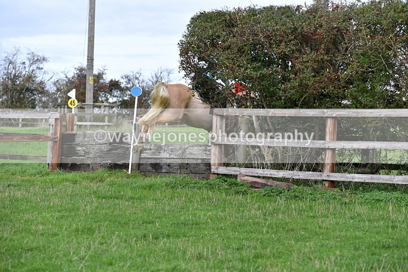 WJ5_0940 - Time 14:29 to 15:31