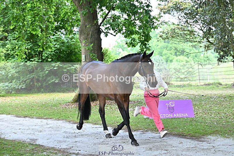 250521A-143726-00126 - A-011-Milly.Assheton-ILEXA