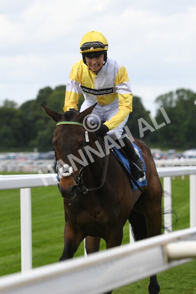 yr11062022r2-8 - Race 2 2.00pm Queen Mother's Cup