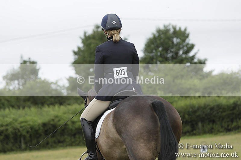 BVR160717-490 - Class 1 & 23a Dressage 16/07/17