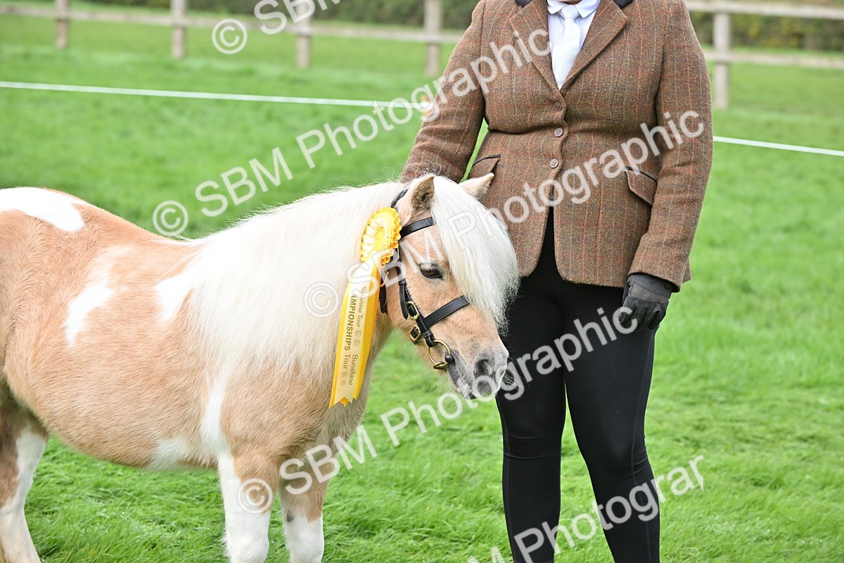 SBM_57004 - S45 - Coloured Pony In Hand
