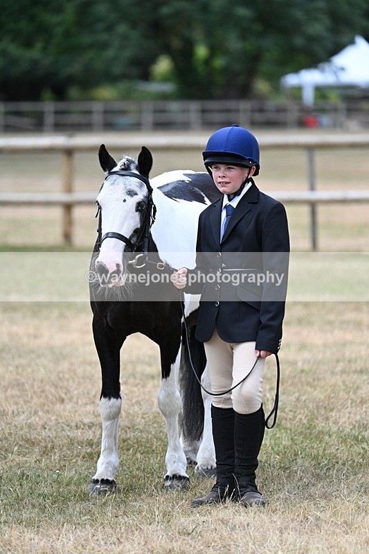 WJ7_1502 - Class 4 Prettiest Mare up to 14.2hh in hand