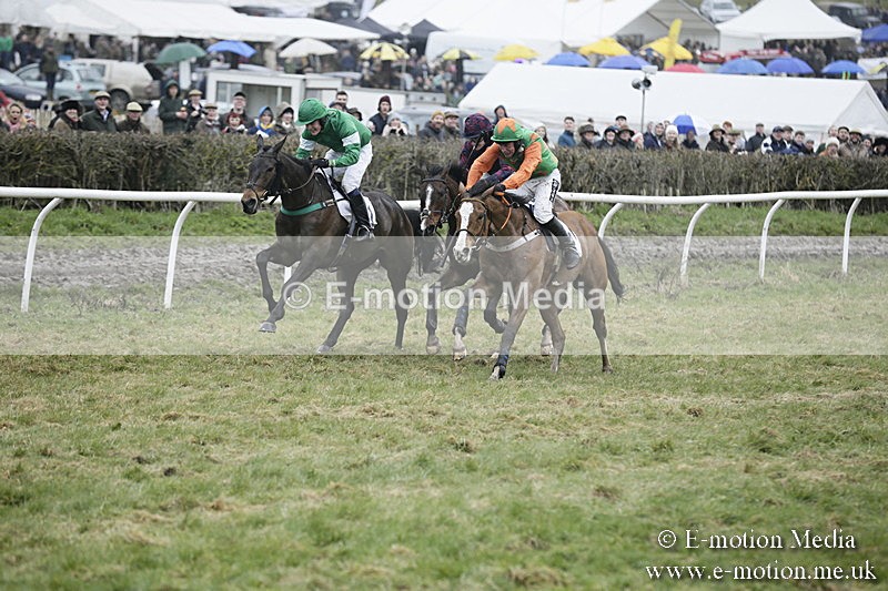 PtP 020418 -242 - Old Berks Point-to-Point Races Easter Monday 02/04/18