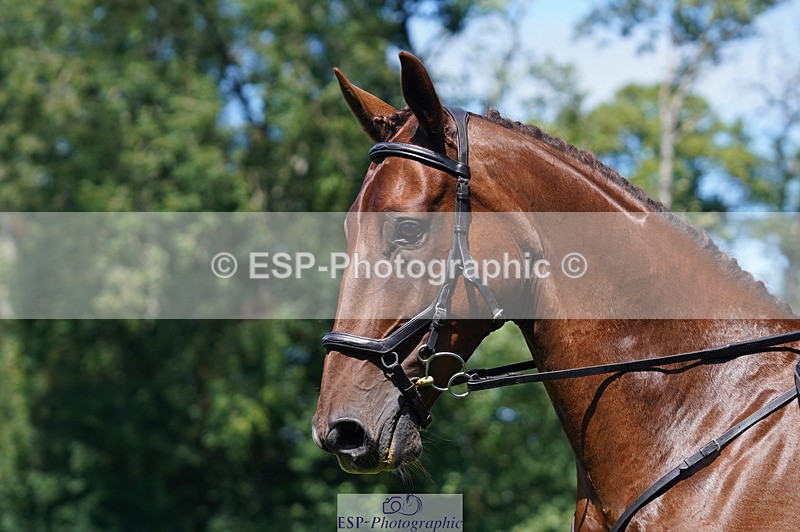 240811A-141126-04205 - 217-