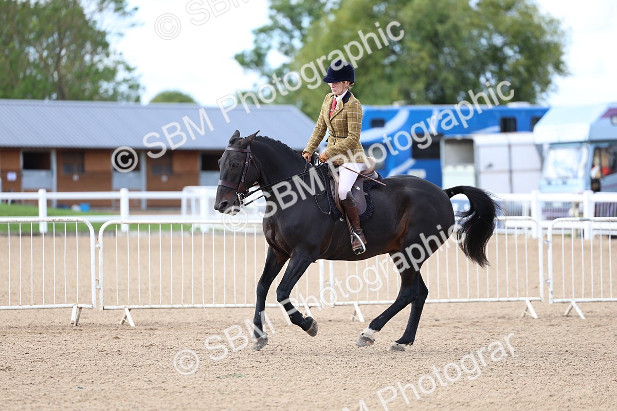 SBM_10080 - Class 304 - Ridden Part Bred Horse Pony
