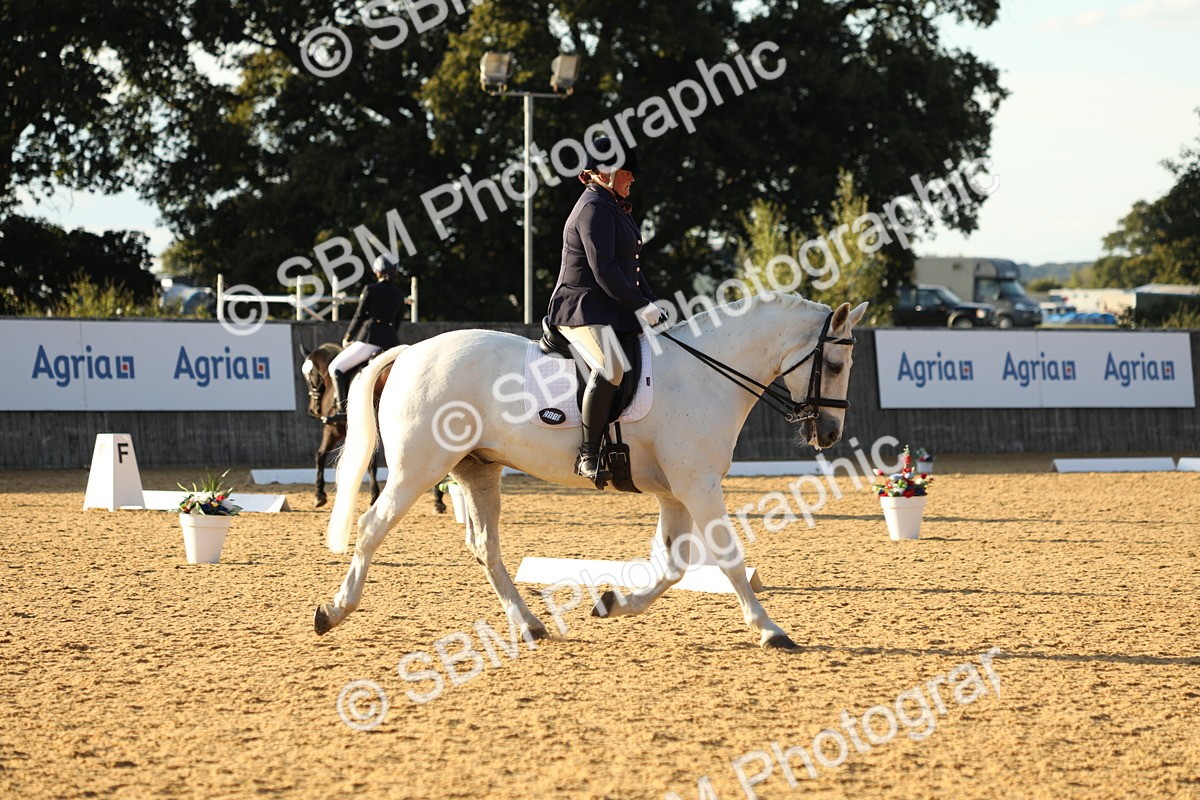 SBM_30437 - D20 - Grand Tour Championship - Elementary 44
