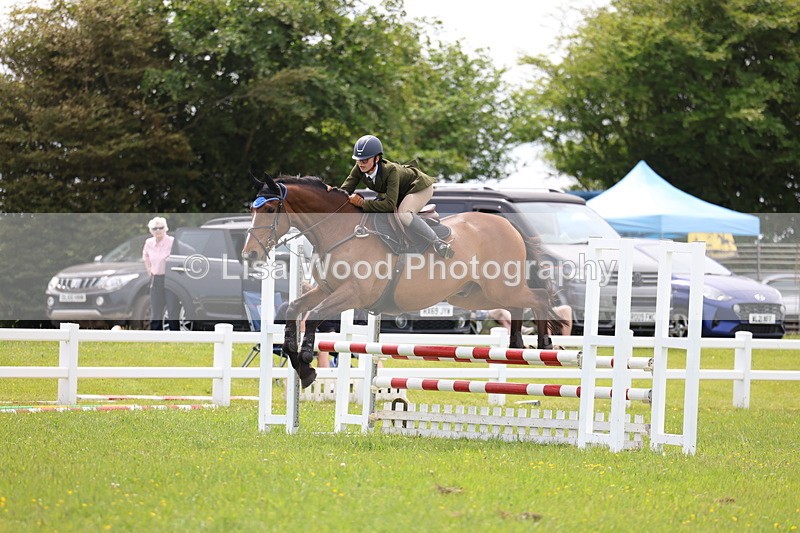 3E7A1618 - Class 13: Senior British Novice/90cm open