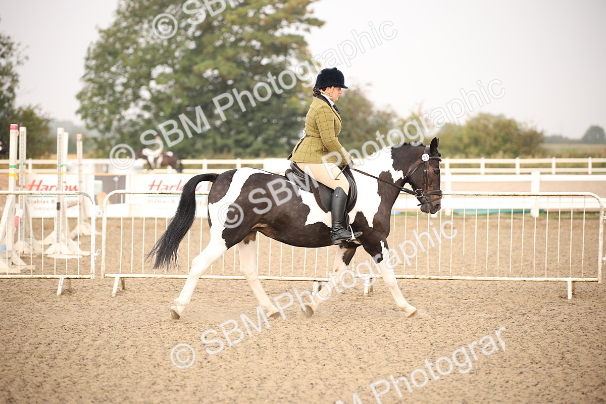 SBM_09745 - Class 401 Riding Club Pony