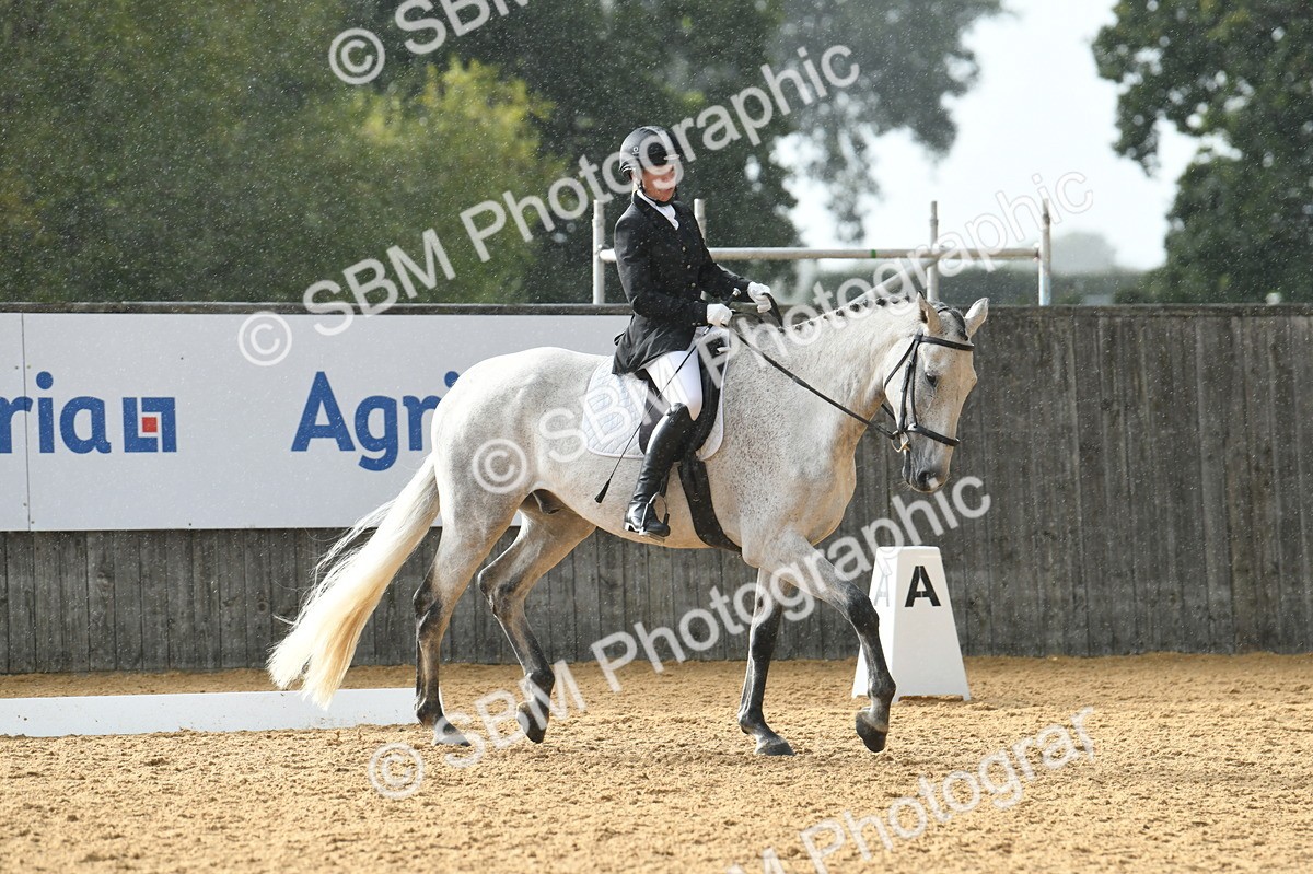 SBM_11156 - D28 Elementary Taster Elementary 42