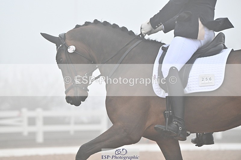 240217A-140842-03356 - 256-Bradley.Moore-Taylor-Ouyuan