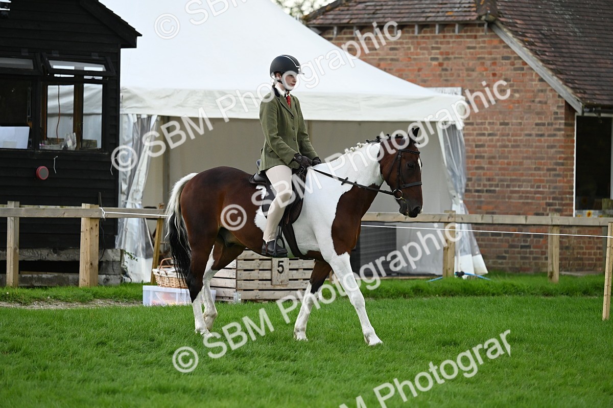 SBM_26557 - S7 - Novice & Newcomer Ridden Pony