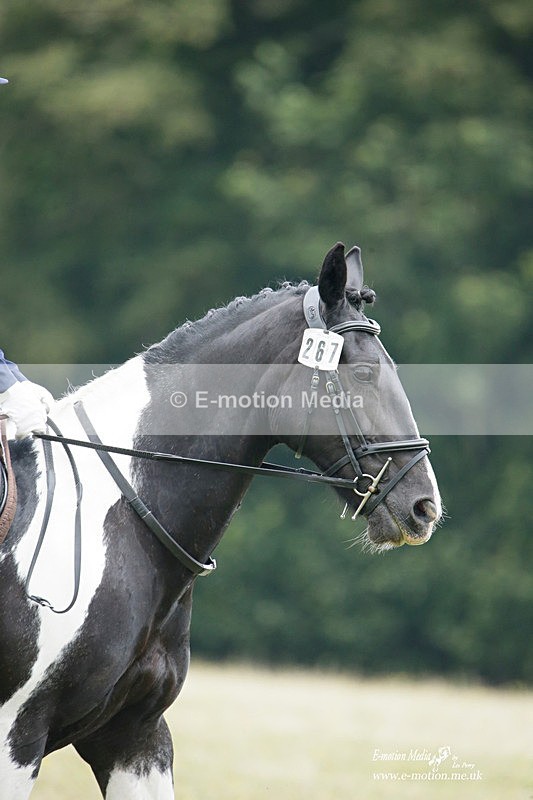 BVRC 030721 433 - Bourne Valley Riding Club Dressage 03/07/21