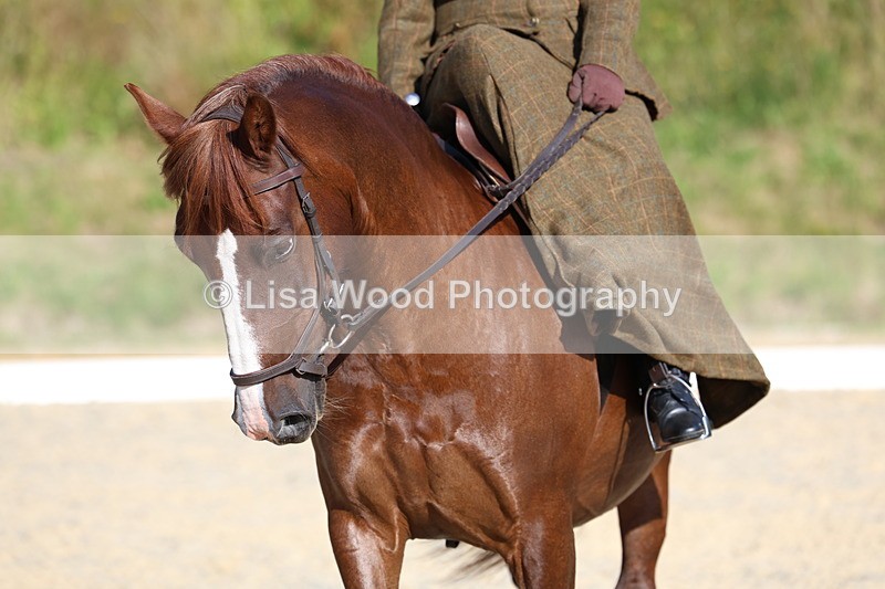 3E7A3470 - Class 2: Intro 1 2024 Section B