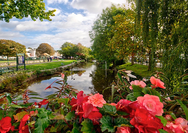 RSP049 New Colourful Dawlish Brook - Dawlish Postcards