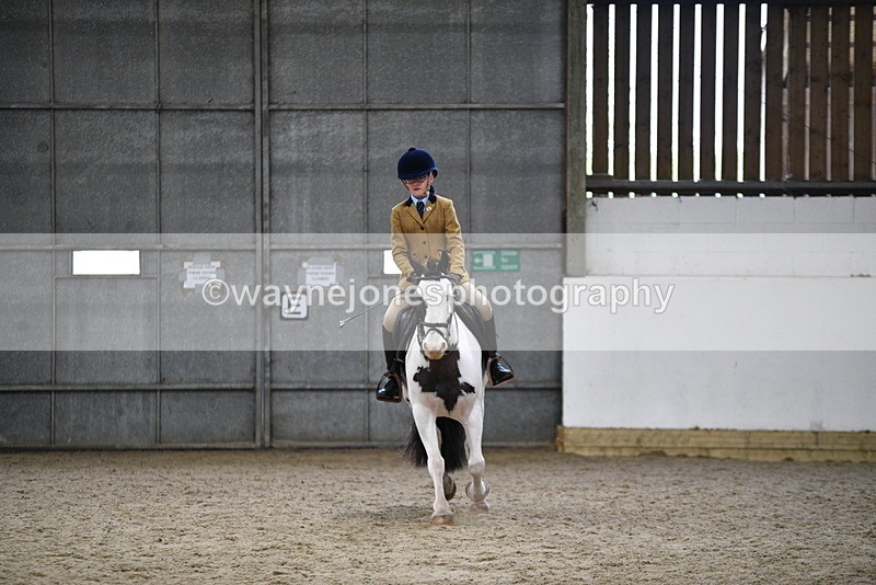 WJ5_7303 - Class 11 Ridden PC - RC Pony