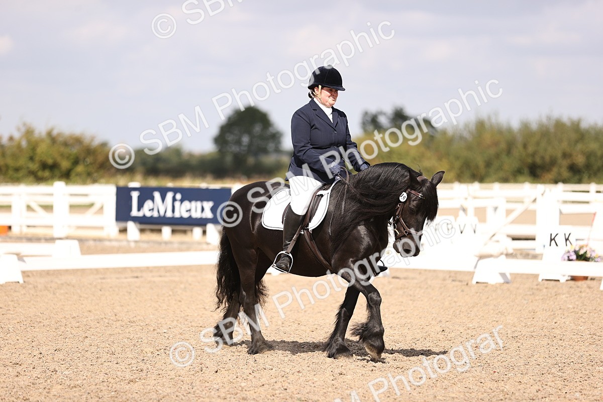 SBM_03688 - CLass 35 Intro 3