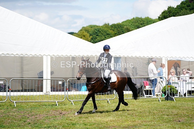 240630X-132002-8443 - 477-Stephanie_McIntosh-BALLIVOR_TWO_OH