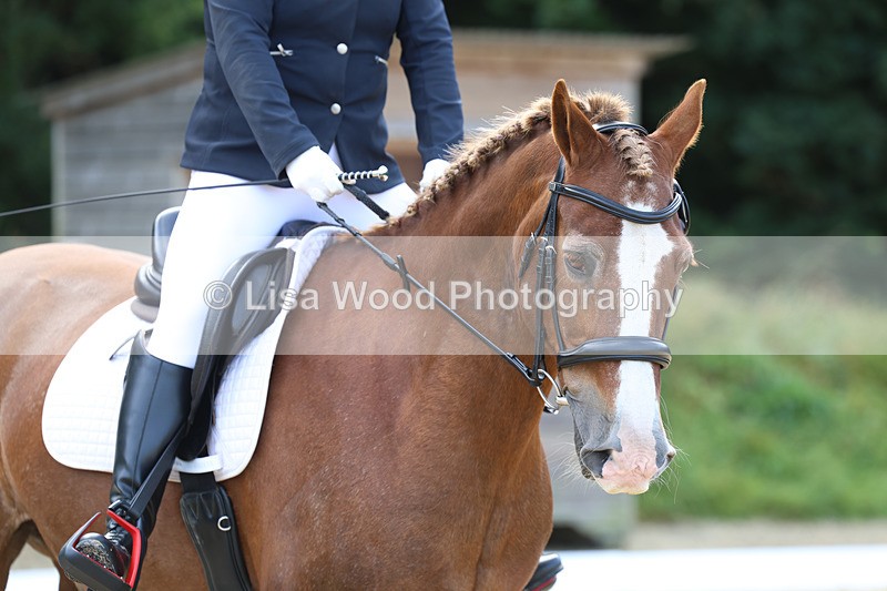 3E7A2259 - Class 1: Intro 4 2024 section A