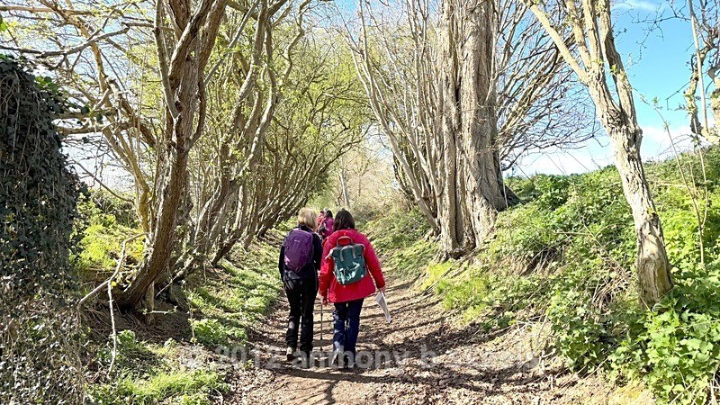 028 Returning on the ancient St Andrew's Lane - York Minster Walkers Collection 2025