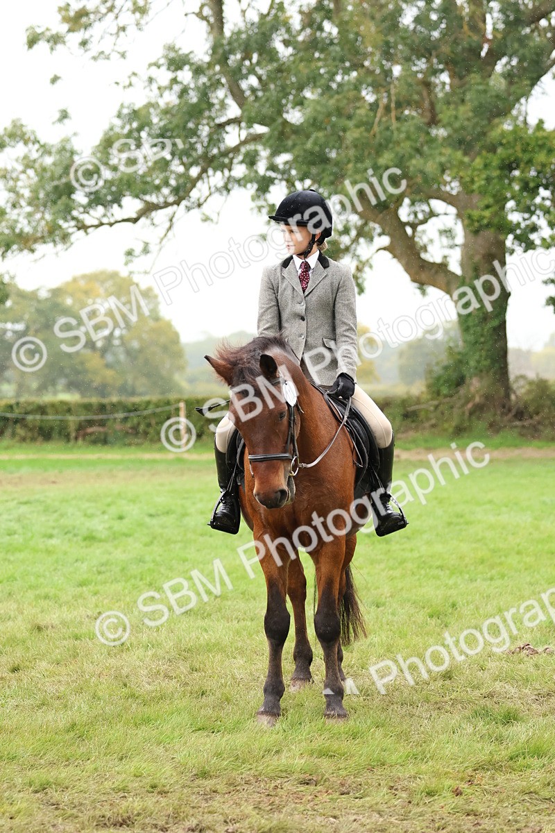 SBM_69602 - S62 - Mountain & Moorland Ridden Large Breeds