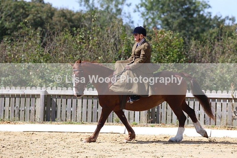 3E7A3585 - Class 7:  Preliminary Music