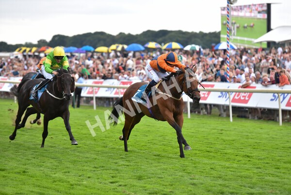yr23072022r7-28 - Race 7 5.35pm Sky Bet Paying Extra Places Stakes
