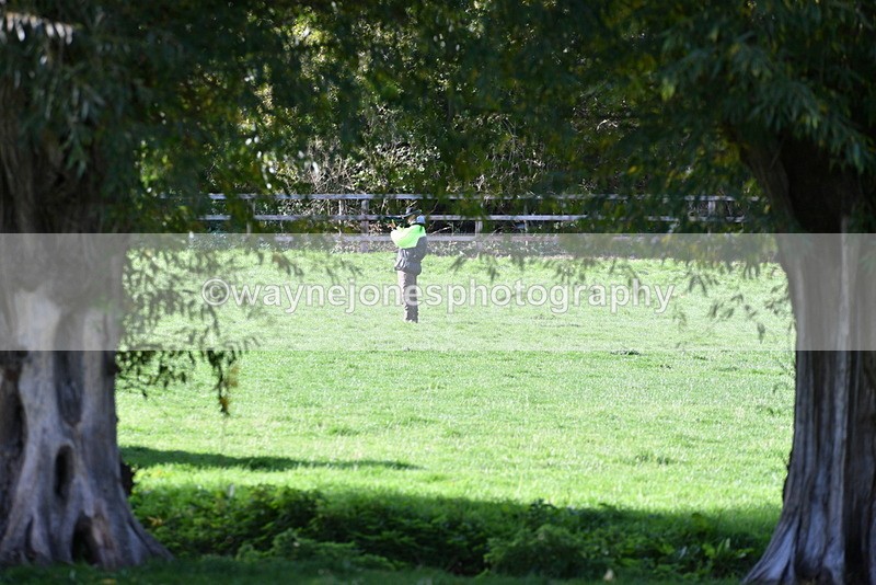 WJ5_7739 - Time 10:31 to 12:01