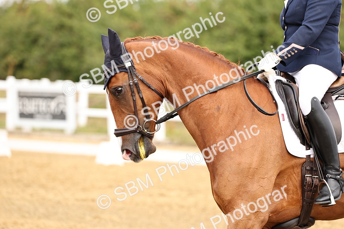 SBM_012291 - Class 2 - Prelim 5