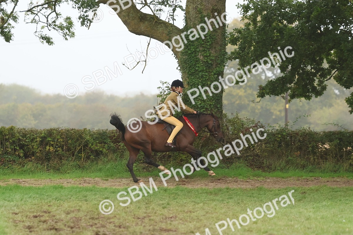 SBM_73231 - Super Supreme Championship(Sun)