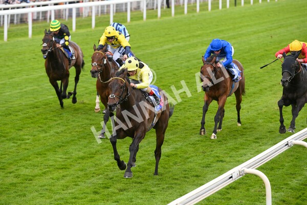 yr11062022r4-12 - Race 4 3.05pm Sky Bet Grand Cup