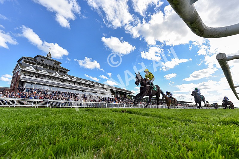 160624-Race 4-Align The Stars-2-2 - Race 4