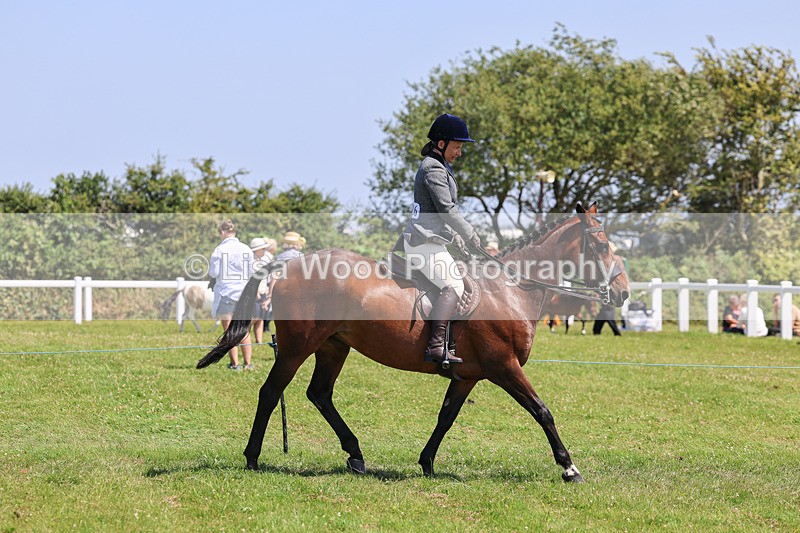 IMG_2487 - Class 38: Veteran Ridden
