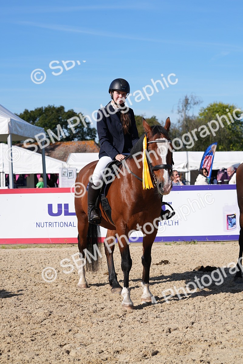 SBM_36247 - J 20 - Junior Horse 50cm Championship