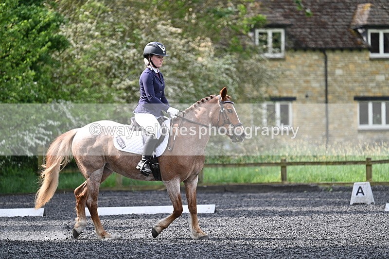 WJ7_8102 - Time 10:11 to 10:27