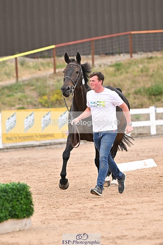 250716-160956-02476 - Trot Up 3.30 to 4.30