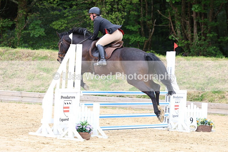 3E7A6165 - Class 4: Senior British Novice/90cm open