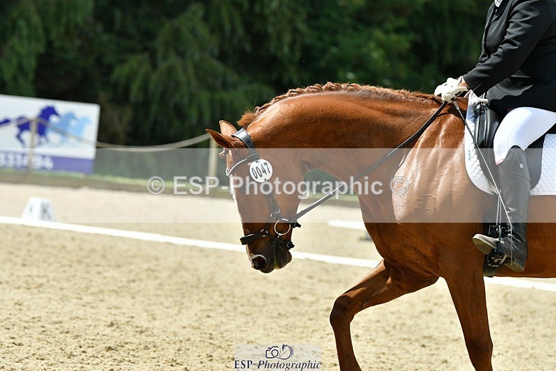 230623-115549-00560 - Cls 3 Novice 23 Start to 11.55 break