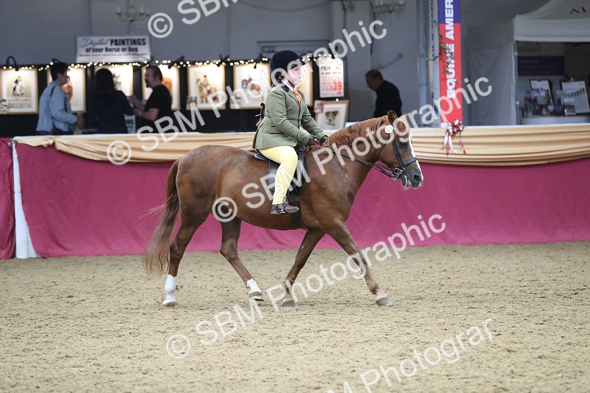 SBM_16465 - Class 502 M&M Ridden Supreme Final