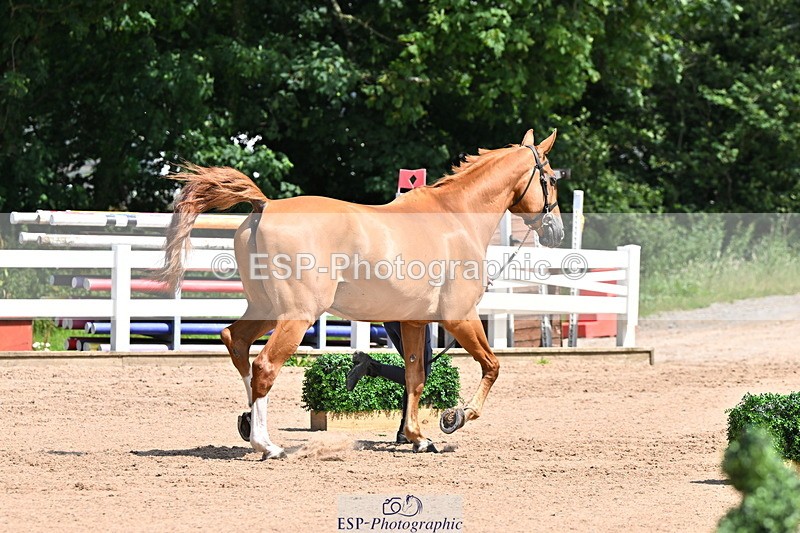 240718A-105248-01184 - Trot Up 12pm to 1pm