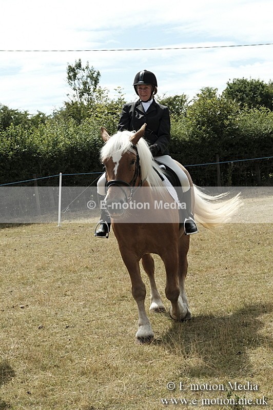 _PJP6076 - BVRC Show 2018 Ring 1