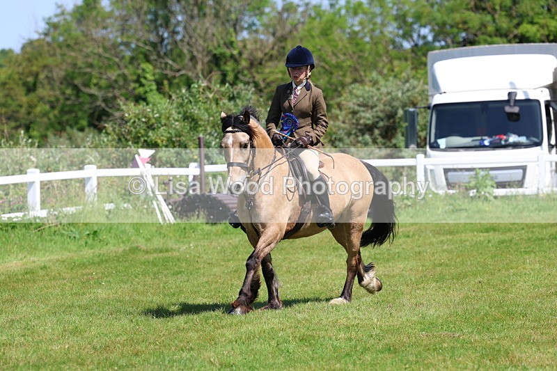 3E7A6758 - Working Hunter Pony Championship