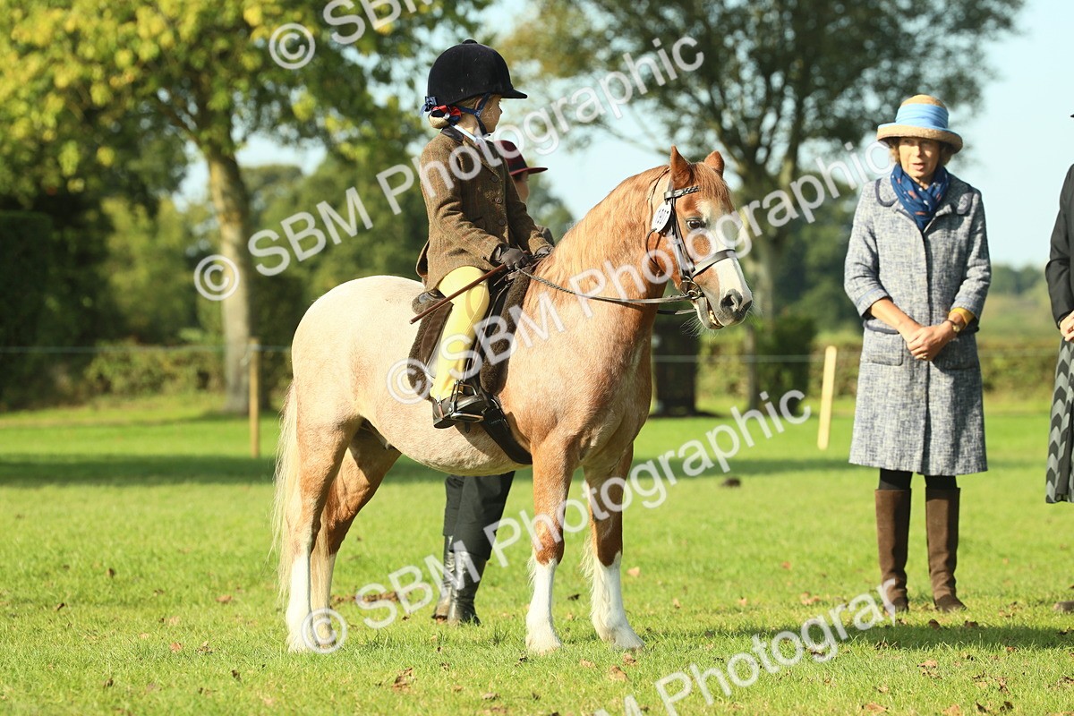 SBM_59224 - S38 - Starters Ridden Showing