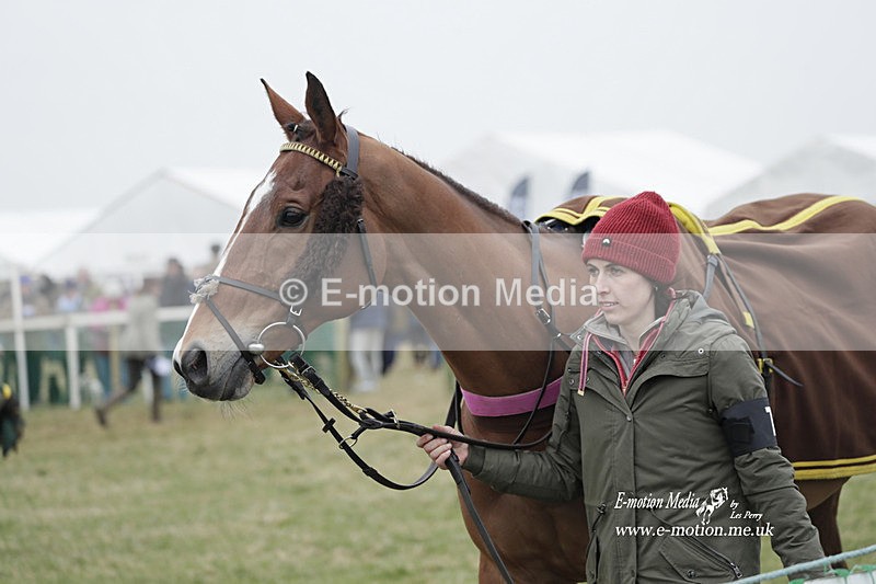 PtP 040323 629 - Duke of Beauforts Hunt Point-to-Point Didmarton 04/03/23