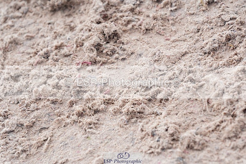 250425-110622-08572 - Cls 38 Amateur Tour