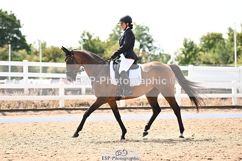 250815-131844-01418 - 005-Patricia.HaskinsGaelic.Surprise