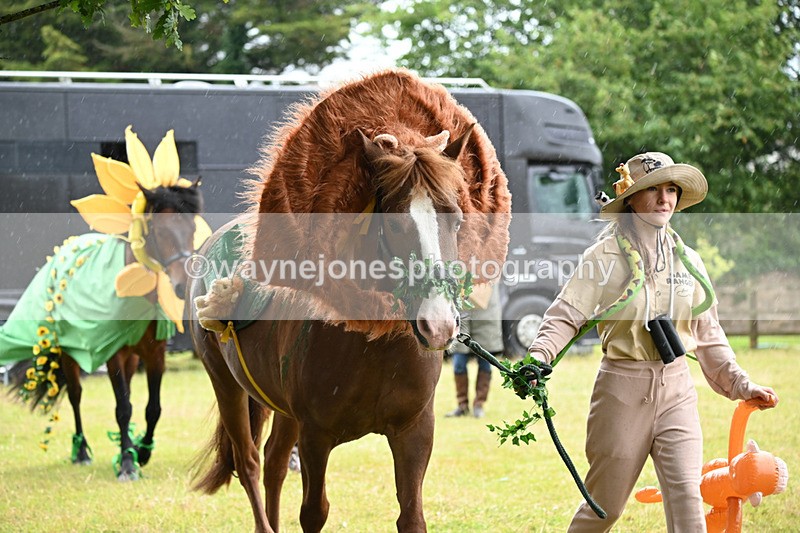 WJ6_9050 - Class 11 Fancy Dress