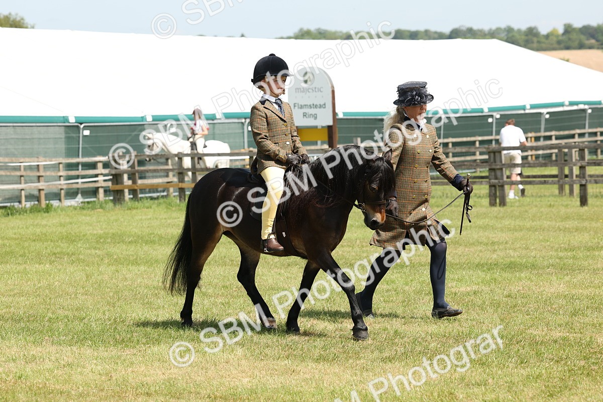 SBM_05254 - Class 24-25 - Mountain & Moorland In Hand Lead Rein and First Ridden