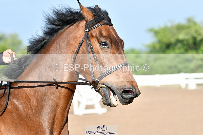 240512A-081948-16821 - Cls 39 British Novice and 90cm Open