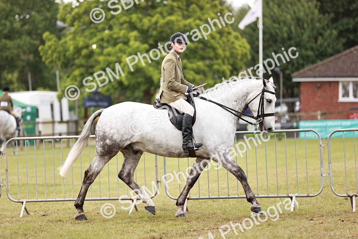 SBM_10757 - Class 81-84 - RIHS Ridden hunters Inc Ladies Hunter